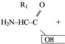 Applications Lesson topic: “Chemical organization of the cell