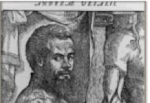 Andreas Vesalius contributions to biology