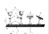 Axon transport.  Axonal transport.  Group C fibers