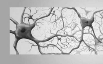 Células de tejido nervioso auxiliar