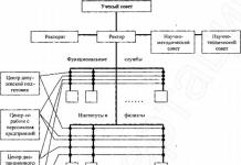 The structure of the higher education institution and the levels of management The structure of the university management