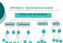 Stabilirea obiectivelor - ce este în psihologie? Printre principiile stabilirii obiectivelor, există