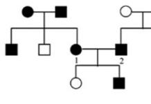 Rezolvarea problemelor de genetică generală și moleculară