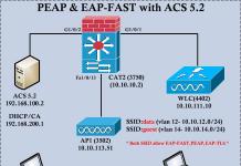 Cisco LEAP Module - what is this program?