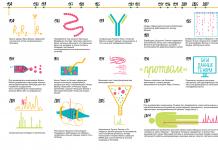 Teknologi proteomik. Toolkit. Penelitian proteomik dalam biologi dan kedokteran. Spektrum massa tandem dan pencarian proteomik