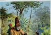 Robinson Crusoe composition The Life of Robinson Crusoe