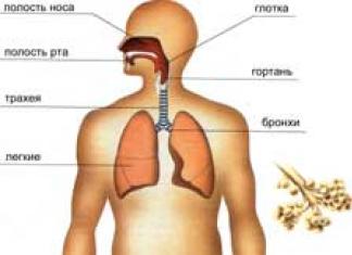 Sign-symbolic means in teaching biology