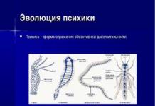 Презентація з психології