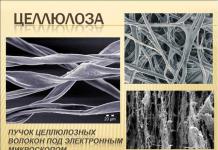 Natural cellulose fibers: learn more about them