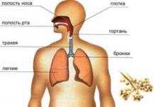 Mijloace semn-simbolice în predarea biologiei