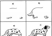 Adaptation of methods for diagnosing cognitive processes for children with visual impairments