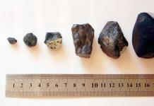 Start in science Who wanted to pick up the Chelyabinsk meteorite