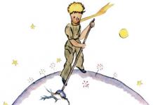 Online reading of the book The Little Prince The Little Prince V