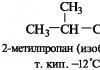 Classification by the structure of the carbon chain