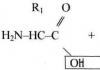 Applications Lesson topic: “Chemical organization of the cell