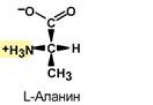 Amino acids have isomerism